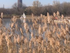 -永定河休闲森林公园