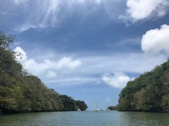 -塞尔夫岛