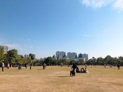 -凤岭儿童公园
