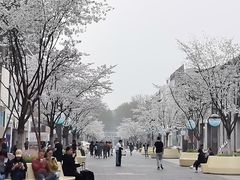 -西湖游船