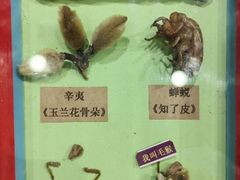 -中国农业博物馆