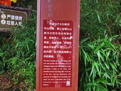 -东白山