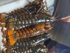 -雍和会海鲜姿造自助(湖东路店)