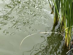 -西青郊野公园