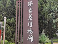-洛阳古墓博物馆