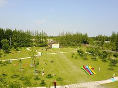 -上海长兴岛郊野公园