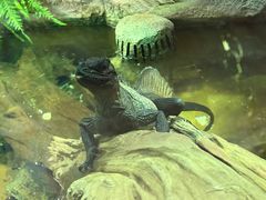-暹罗海洋世界