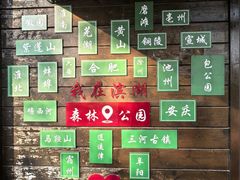 -合肥滨湖国家森林公园