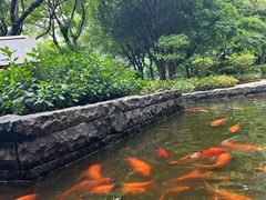 -南宁荔园维景国际酒店·荔园中餐厅