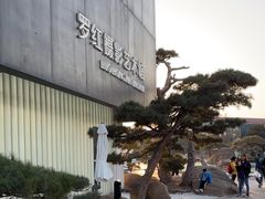 -罗红摄影艺术馆