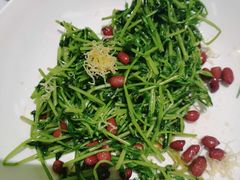 -青花椒花椒鱼(合生汇店)