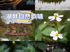 -白鹭湾湿地公园