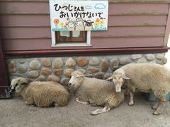 -神户市立六甲山牧场