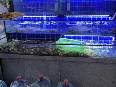 -百盛烧烤·龙虾·小酒馆(丽岛华都店)