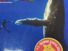 -I-Shine英语国际教育(大三林中心)