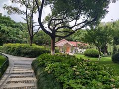 -大关公园