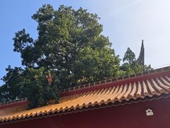 -南岳衡山风景名胜区-南岳大庙