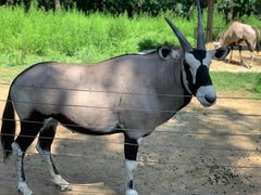 -大连森林动物园