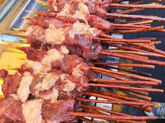 -艾力江和田馕坑烤肉店