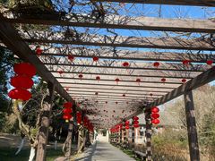 -白马涧龙池景区