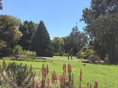 -墨尔本皇家植物园