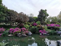 -玄武湖景区-情侣园游乐场