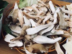 -易门野生菌府·菌海森林(月牙潭公园店)