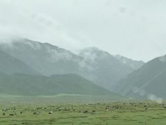 -山丹皇家马场