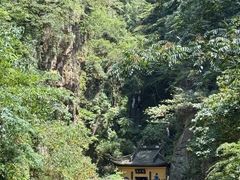 -溪口-滕头旅游景区