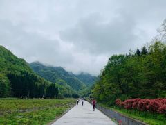 -武隆天坑寨子景区