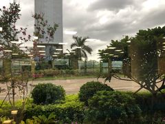 -厦门高崎国际机场-T3航站楼