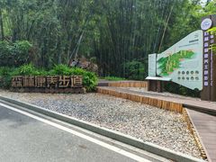 -广州市帽峰山景区