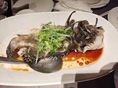 清蒸老虎斑-徐记海鲜(曲江南湖店)