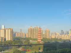 -小茶闲舍·观景商务茶馆(广州塔店)