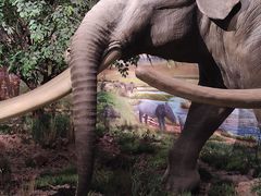 -湖南省地质博物馆