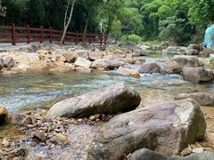 -广州白江湖森林公园