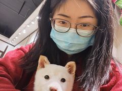 -逗柴咖啡屋·狗咖猫咖宠物桌游