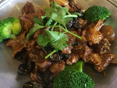 -琼菜王(南海店)