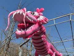 -南宫五洲植物乐园