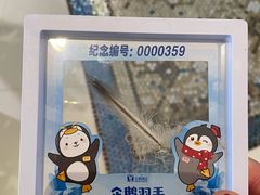 -长隆海洋王国-海洋大街餐厅