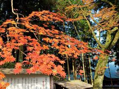 iphone_upload_pic-比叡山