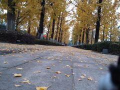 -百林公园-两江幸福广场