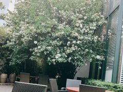 -金海湾自助餐厅(金陵饭店)