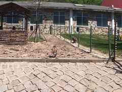 -哈尔滨北方森林动物园