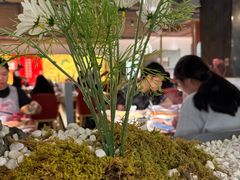 -左庭右院鲜牛肉火锅(苏州园区永旺店)