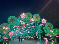-沈阳奥体冰雪嘉年华