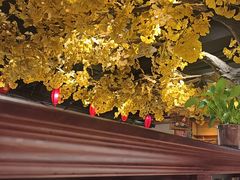 -北平宴·烤鸭·京味菜(中关村店)