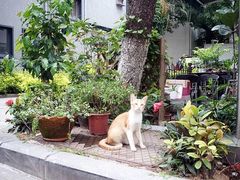 -默迹咖啡馆