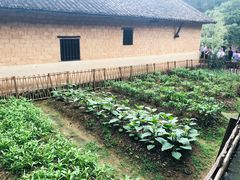 -韶山毛泽东同志故居