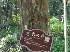 -黄公望隐居地